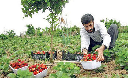 کارآفرینی روستایی ؛ موتور محرکه توسعه پایدار و توازن منطقه ای