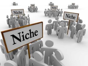 قدرت حکمرانی در بازارهای نیچ