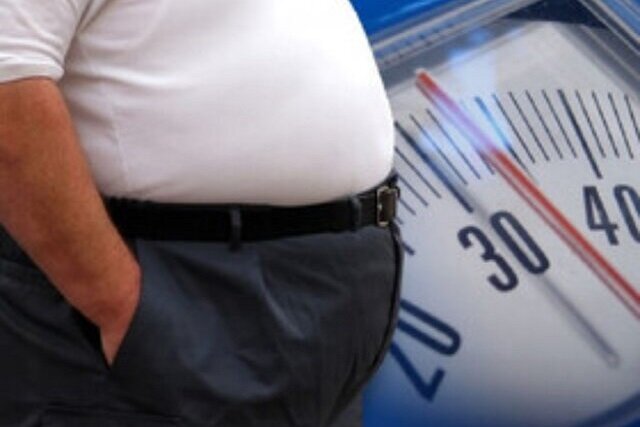 محیطهای صنعتی و چرخه خطرناک استرس و چاقی