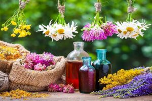 نقش گیاهان دارویی در تقویت اقتصاد محلی
