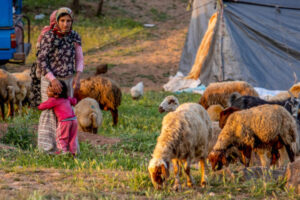 سرمایه های پنهان اقتصاد ایران در دل روستاها