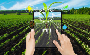 استارت‌آپ‌های ایرانی، معماران کشاورزی هوشمند