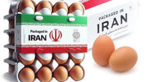 بازار۵۰ میلیارد دلاری کویت و سهم ناچیز ایران