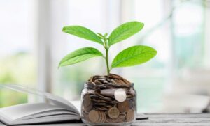 سرمایه‌گذاری خطرپذیر؛ حلقه مفقوده رشد استارت‌آپ‌ها