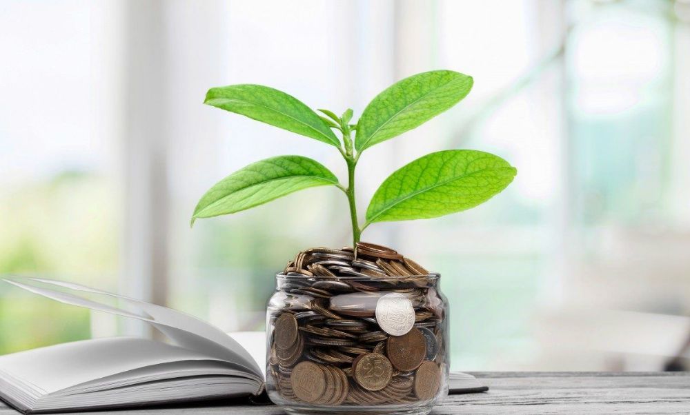 سرمایهگذاری خطرپذیر؛ حلقه مفقوده رشد استارتآپها