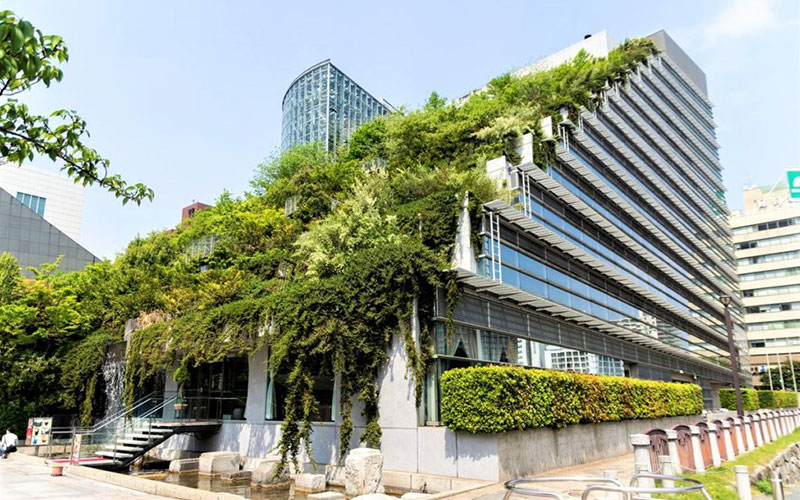 معمار، کارآفرینِ آینده سبز