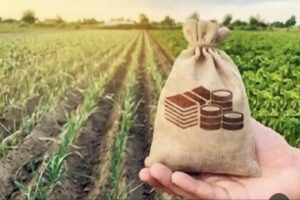 مشکل برق چاه_ها ریشه_ای حل شود